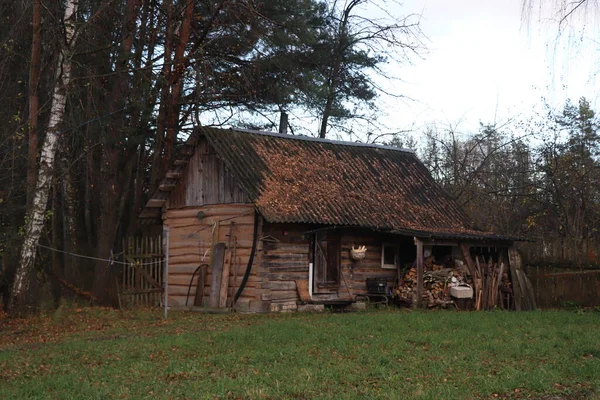 Petite Maison Ancienne Dans Les Bois Automne — Photo