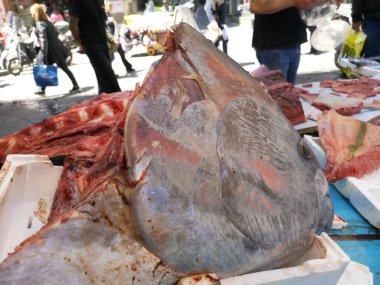 Açık deniz ürünleri pazarında Akdeniz Balığı, Napoli