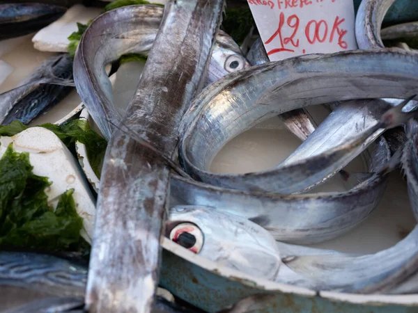 Mittelmeerfisch Offenen Seemarkt Napoli — Stockfoto