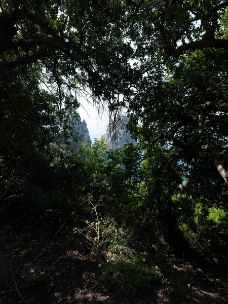 Uitzicht Faraglioni Capri — Stockfoto