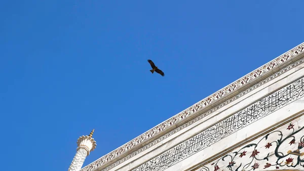 Tac Mahal üzerinde mavi gökyüzünde uçan kartal