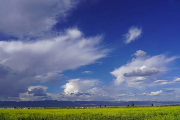 Dağlar ve kolza tohumu tarlaları mavi gökyüzü ve beyaz bulutlar altında