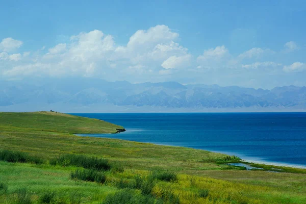Sayram Gölü yakınlarındaki otlaklar, ili, Xinjiang