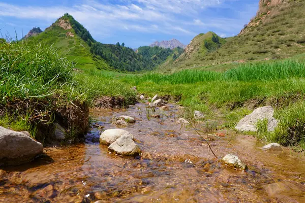 Temiz kaynak suyu dağlardaki çayırlardan akar ve bir dereye dönüşür.