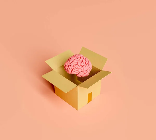 Cerveau Humain Sortant Une Boîte Carton Rendu — Photo