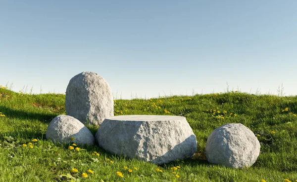 Exposição Produto Pedra Ficar Prado Verde Com Flores Céu Claro — Fotografia de Stock