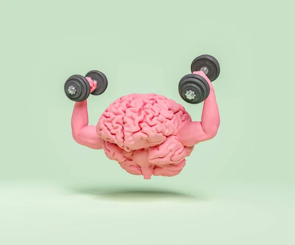 Brain Muscular Arms Dumbbells Hands Concept Exercise Healthy Mind Training — Stock Photo, Image