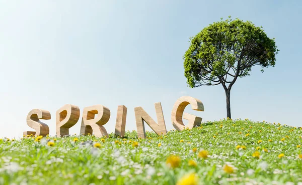 Wooden Sign Word Spring Meadow Tree Next Spring Arrival Concept — Stock Photo, Image