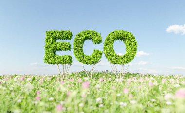 Çiçeklerle dolu bir tarlada ECO çalılık işareti var. Küresel ısınma, ekolojist, çevre ve yenilenebilir enerji kavramı. 3d oluşturma