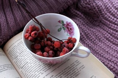 Bir kitap üzerinde kırmızı rowan filizi ve leylak desenli bir pu.