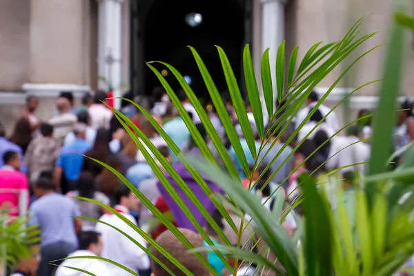 Святий Тиждень Традиційно Католики Святкують Пальмову Неділю Християнська Віра — стокове фото