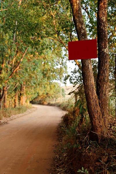 Sinal Vermelho Branco Preso Árvore Durante Dia Livre — Fotografia de Stock