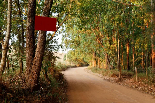 Sinal Vermelho Branco Preso Árvore Durante Dia Livre — Fotografia de Stock