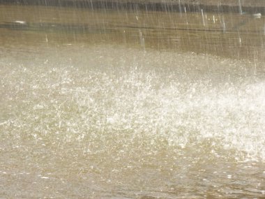 Şiddetli yağış ve doğa