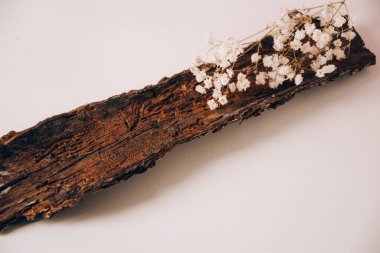 Kozmetik veya ürünler için kurumuş çiçekli yaratıcı ahşap podyum. Pazarlama sahnesi.