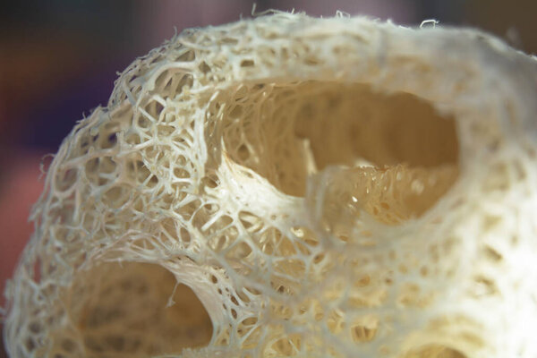 Крупный план натуральной мочалки, текстуры натурального материала. Экологичные аксессуары для ванной комнаты