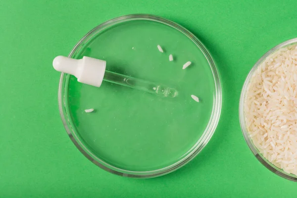 Petri Kabında Pipo Mayalanmış Malzemelerden Kozmetik Ürünler Yapıyor Bütünsel Güzellik — Stok fotoğraf