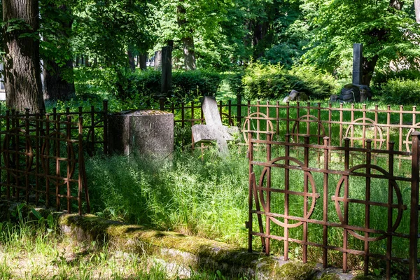 教会の古い埋葬地と墓地のフェンスで静かな夏の日 錆びた金属製の手すりと高い緑の木に囲まれたヨーロッパの墓地で壊れた石の十字架とヴィンテージの墓 — ストック写真