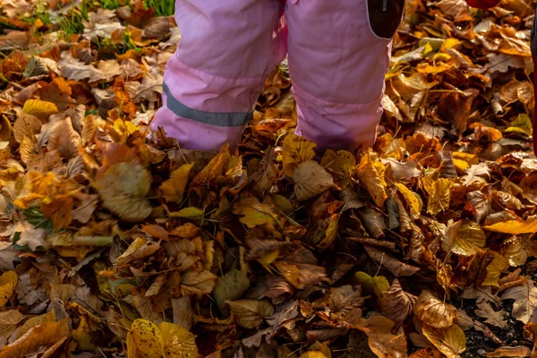 Sonbahar Parkında Sarı Yaprakların Üzerinde Yürüyen Bir Çocuk Pembe Giysili — Stok fotoğraf