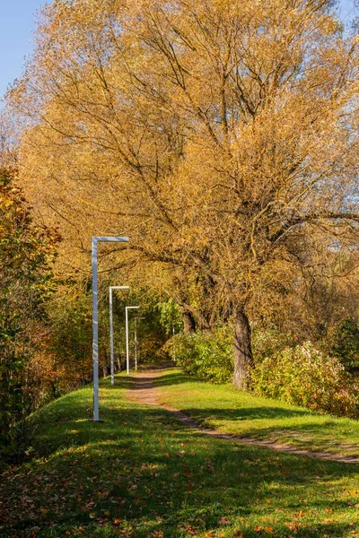 Parlak sonbahar gününde, altın devrilen ağaçlar ve beyaz modern sokak lambalarıyla çevrili küçük kahverengi patikanın dikey fotoğrafı. Parkta parlak, güneşli bir sonbahar günü. 