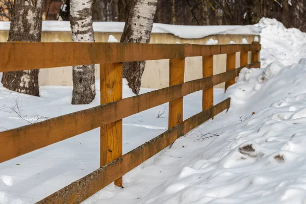 Оранжевый Деревянный Забор Снегу Сзади Видны Три Ствола Березы Погодные Лицензионные Стоковые Изображения