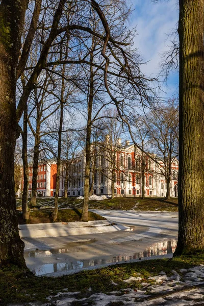 Güneşli kış gününde Jelgava Sarayı 'nın dikey fotoğrafı yapraksız kadın ve donmuş yol yansıtan binayla çerçevelenmiş. Kış günü şehir parkındaki tarihi bina..