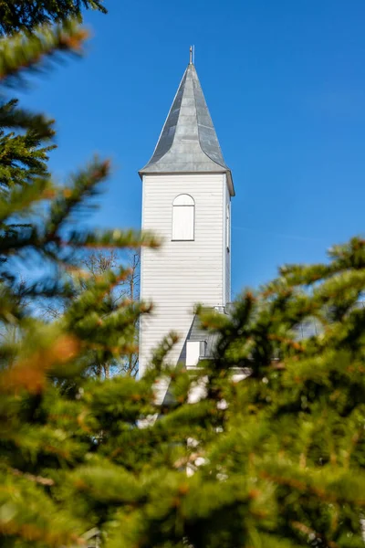 Yeşil ladin dallarının arasından metal çatılı beyaz kilise kulesine dikey görüş. Krdla, Hiiumaa, Estonya 'daki Lüteriyen kilise kulesi. Kilise kulesi, mavi gökyüzü ve Picea her zaman yeşil dallar. 