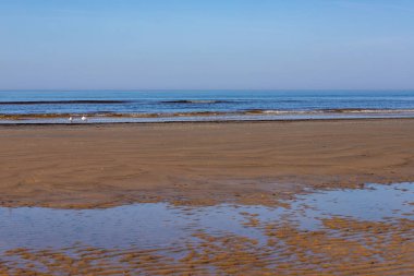 Koyu sarı kumlu plaj kısmen suyla kaplıdır, uzak dalgalı deniz, beyaz kuşlar ve açık mavi gökyüzü. Bahar sabahının erken saatlerinde Majori, Jurmala, Letonya 'da bomboş bir deniz kıyısı. Kuzeydeki sahil şeridi. Tatil yeri.