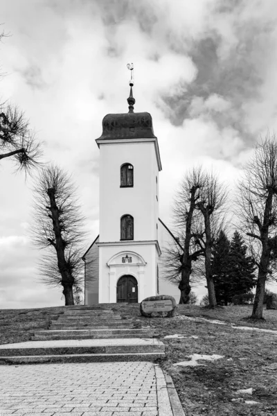 位于拉脱维亚里加的圣凯瑟琳路德教会的低角度垂直单色照片 黑白相间的小礼拜堂 可怕的灰色天空和修剪过的树 — 图库照片