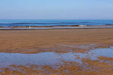 Koyu sarı kumlu sahil şeridi kısmen suyla kaplı, uzaktan dalgalı deniz, beyaz kuşlar ve açık mavi gökyüzü. Bahar başında Letonya, Jurmala, Majori 'de boş bir plaj. Deniz kıyısında tatil yeri.