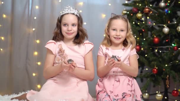 Felice bambine in abiti rosa giocare con un criceto all'albero di Natale. — Video Stock