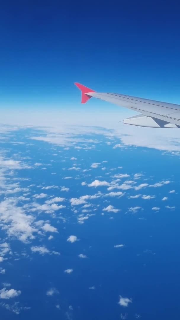 垂直ビデオだ。航空機の窓から飛行中の飛行機の翼. — ストック動画