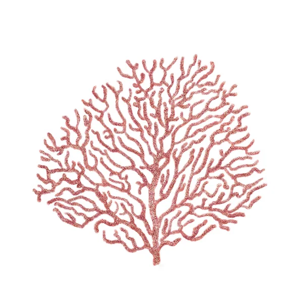 Coral aislado sobre fondo blanco. Dibujo dibujado a mano. ilustración de alta calidad — Foto de Stock
