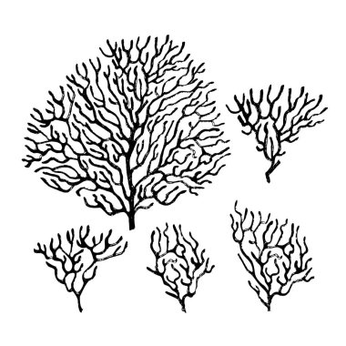 Mercan desenleme kiti. Siyah mürekkep fırçası dokusu.