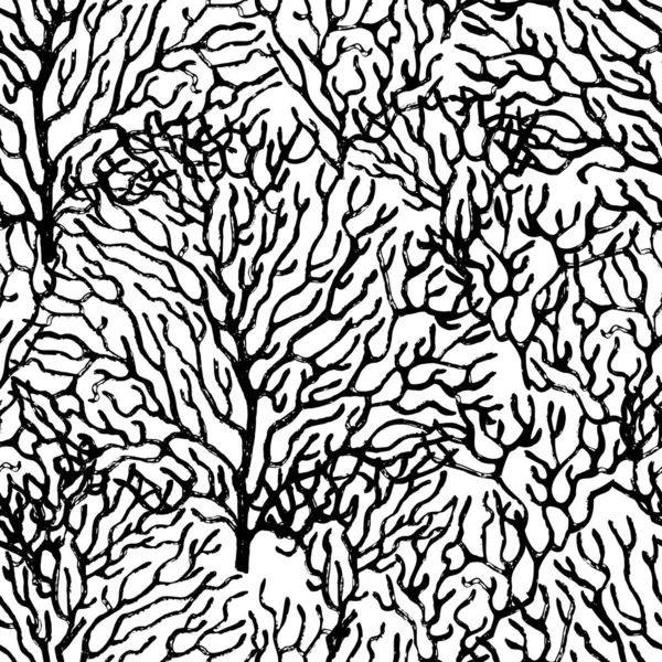 Coral dibujado con tinta negra. Patrón blanco y negro sin costuras. — Archivo Imágenes Vectoriales