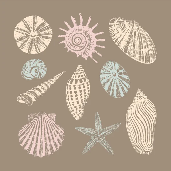 Conjunto de diez conchas marinas. Tinta negra cepillo textura. — Archivo Imágenes Vectoriales