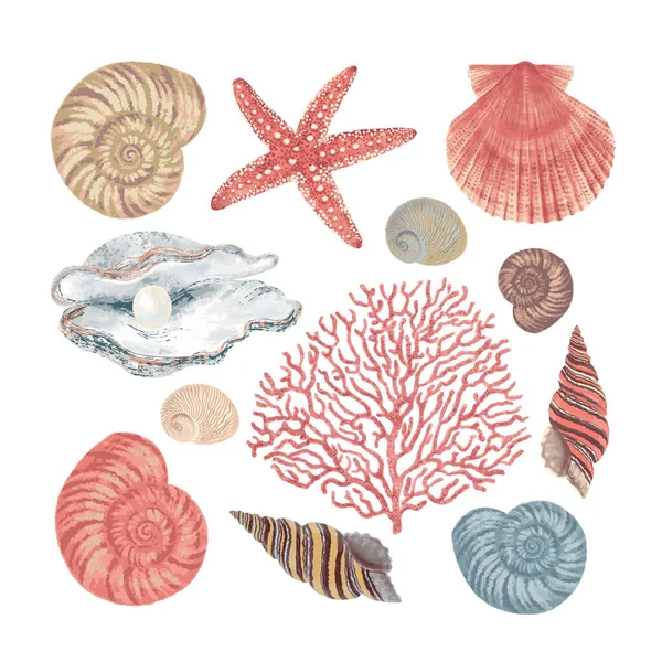 Unterwasserwelt. Muscheln, Perlen, Korallen. Bunte Illustration. — Stockvektor