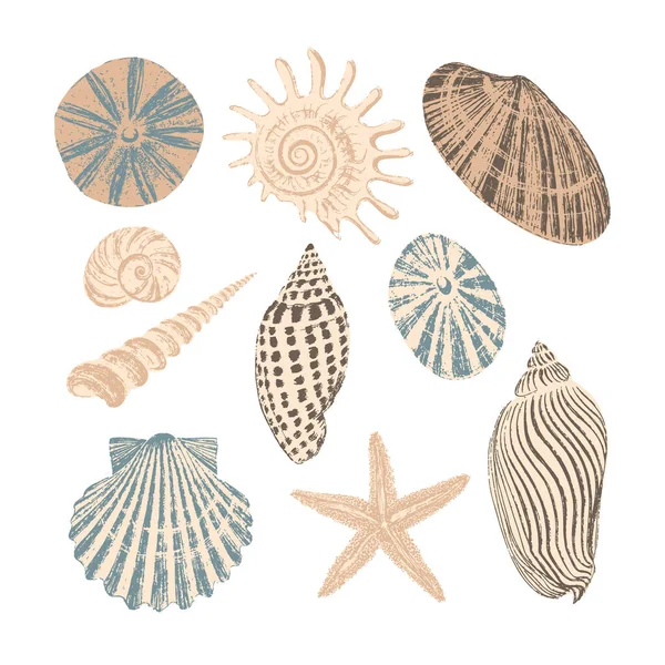 Conjunto de diez conchas marinas. Tinta negra cepillo textura. — Archivo Imágenes Vectoriales