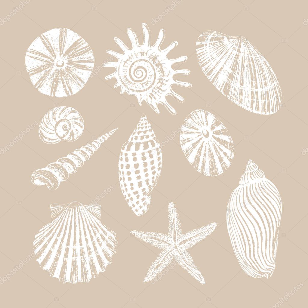 Set of ten seashells. Black ink brush texture.