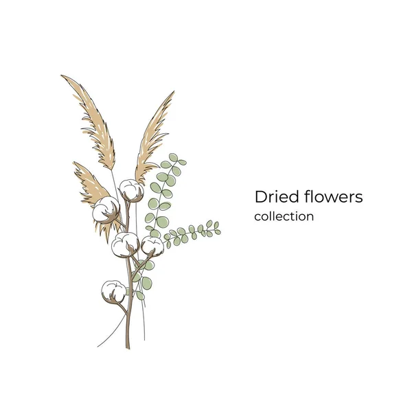 Bukiet minimalistycznych suszonych kwiatów: Bawełny, Pampas, Eukaliptusa. Edytowalny sznurek. Pojęcie pocztówki. — Wektor stockowy
