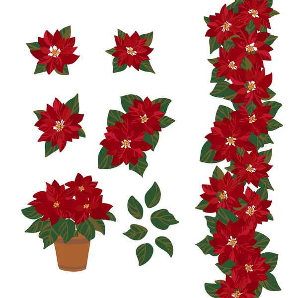 Set of poinsettia for creating a festive design. — 图库矢量图片