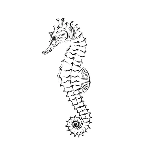 Seahorse. Black ink brush texture. — 图库照片