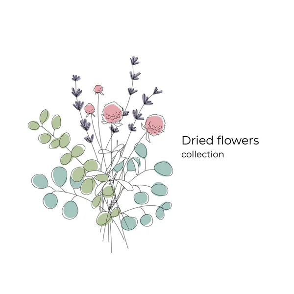 Bukiet minimalistycznych suszonych kwiatów: Lawenda, Gomphrene, Eukaliptus. Edytowalny sznurek. Pojęcie pocztówki. — Wektor stockowy
