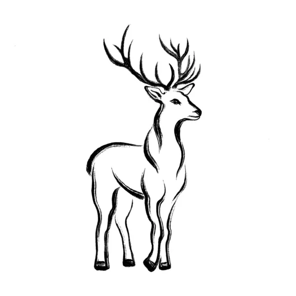 Dibujo minimalista de ciervos en la técnica de una pincelada de tinta. Cepillo y textura de pintura. — Foto de Stock