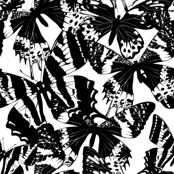 蝶の翼のシームレスなパターン。黒と白の抽象的なスタイル — ストックベクタ