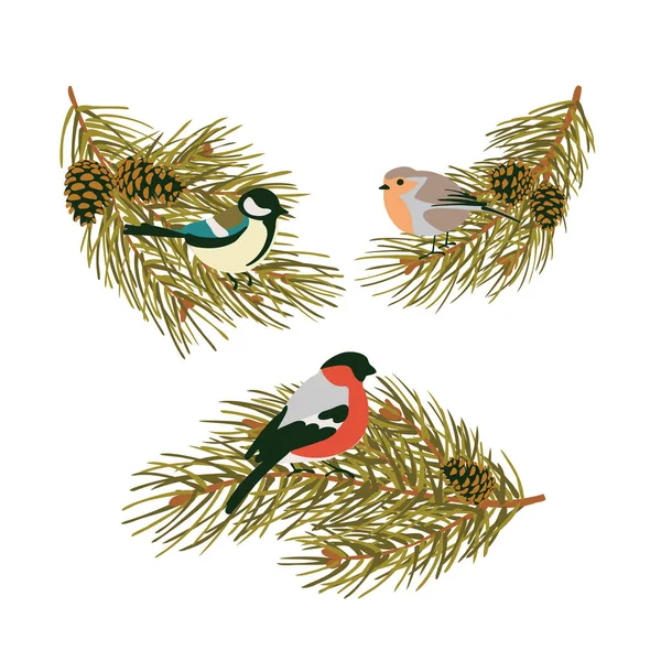 Winter birds on pine branches. Tit, bullfinch, Robin. Flat style. — Wektor stockowy