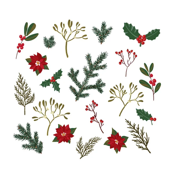 Karácsonyi növények. Karácsonyfa, thuja, fagyöngy, poinsettia, Holly. Kézzel rajzolt, egyszerű kialakítás. — Stock Vector