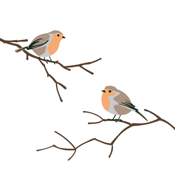 Robins en las ramas. Conjunto de aves de invierno de estilo plano. — Archivo Imágenes Vectoriales