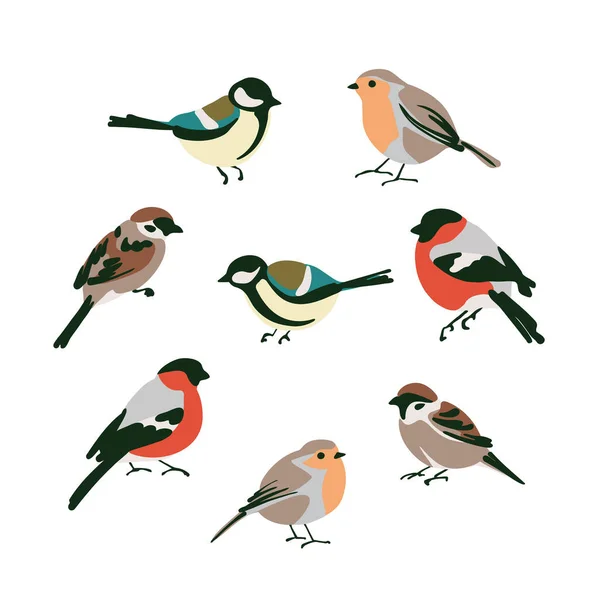 Set of birds tits, bullfinches, robins, sparrows. — Stockvektor