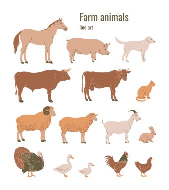 Çiftlik hayvanları, at, domuz, köpek, boğa, inek, kedi, koç, koyun, keçi, tavşan, hindi, kaz, ördek, horoz, tavuk. Renkli minimalist düz biçim. 